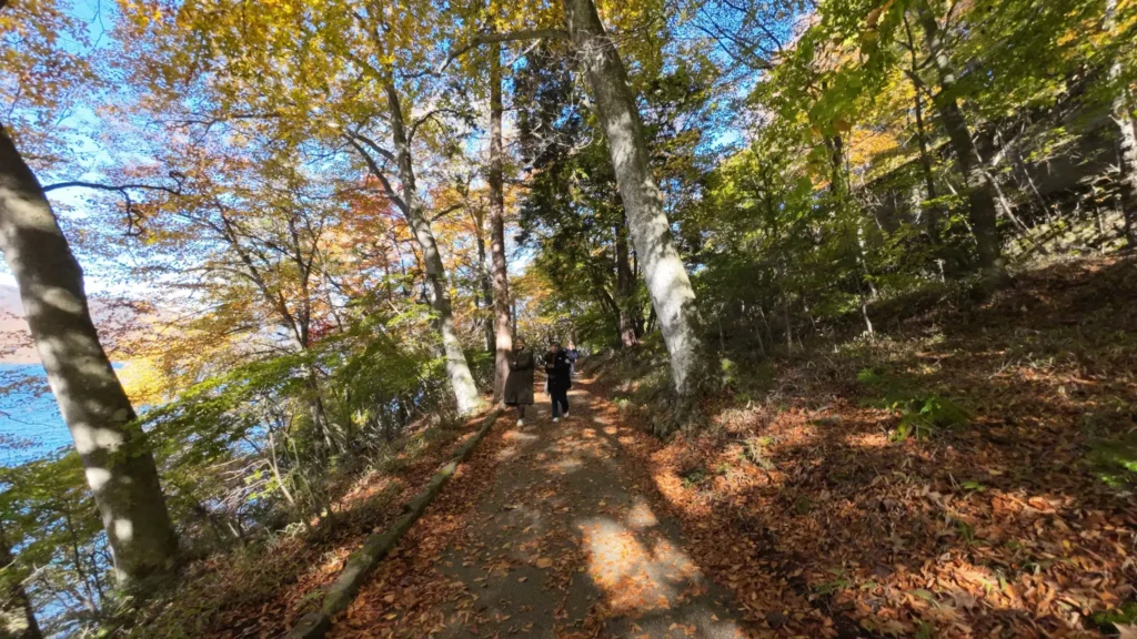 Two women walking toward the camera on a forest road beside a lake