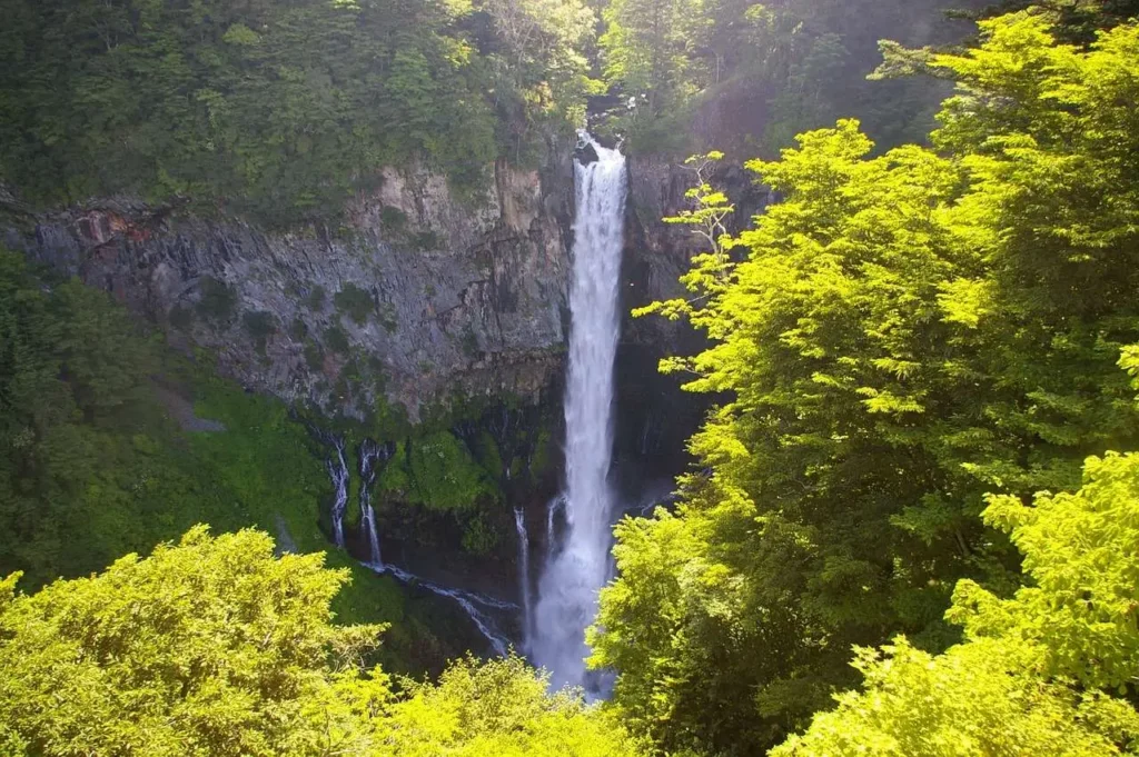 Waterfall surrounded by forest
