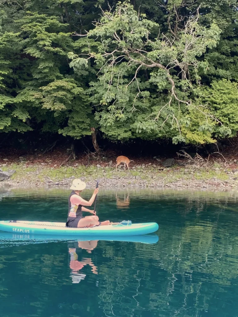 Woman sitting on a stand-up paddleboard on calm water with a deer visible on the shore