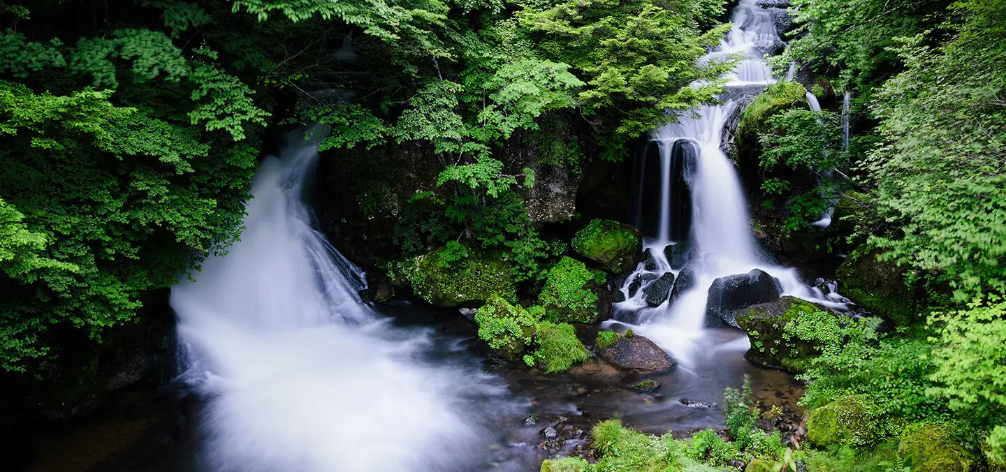Waterfalls cascading over moss-covered rocks surrounded by lush green forest
