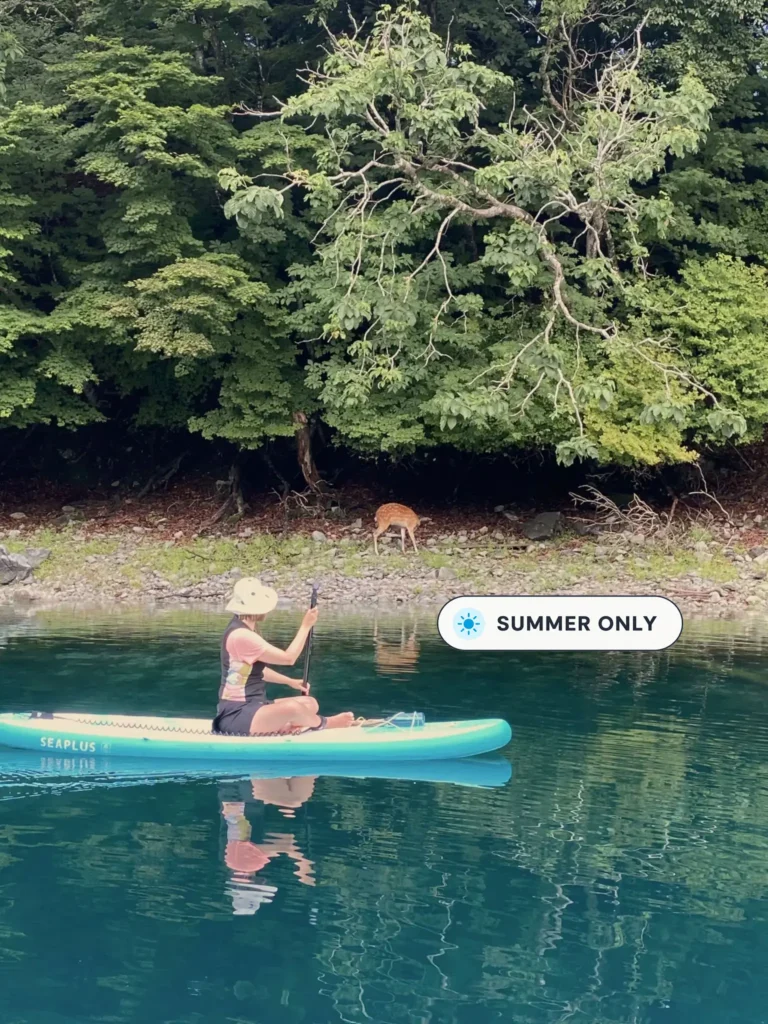 Woman sitting on a stand-up paddleboard on calm water with a deer visible on the shore